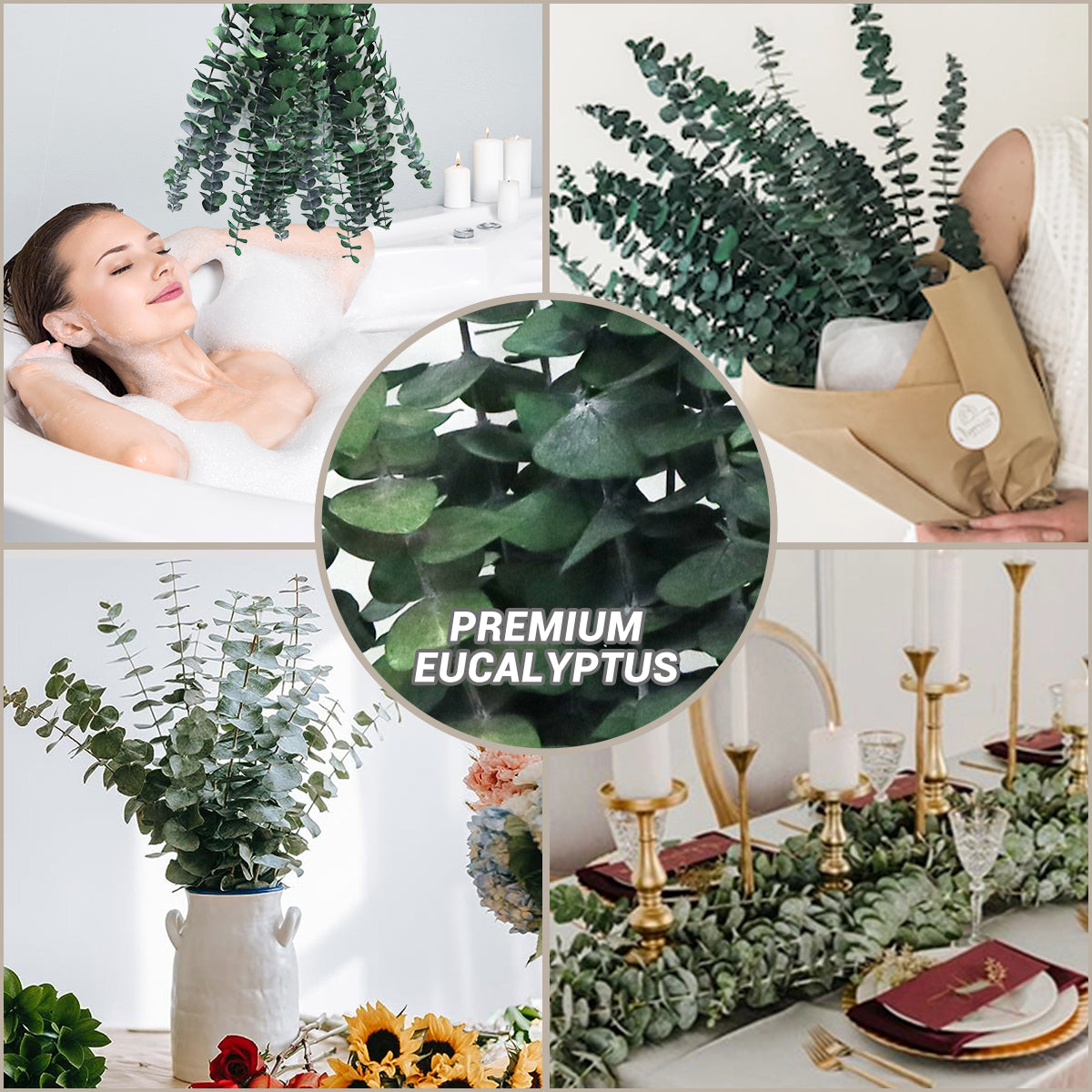 HERBIX Large 10 PCS Preserved Eucalyptus Stems for Home Decor