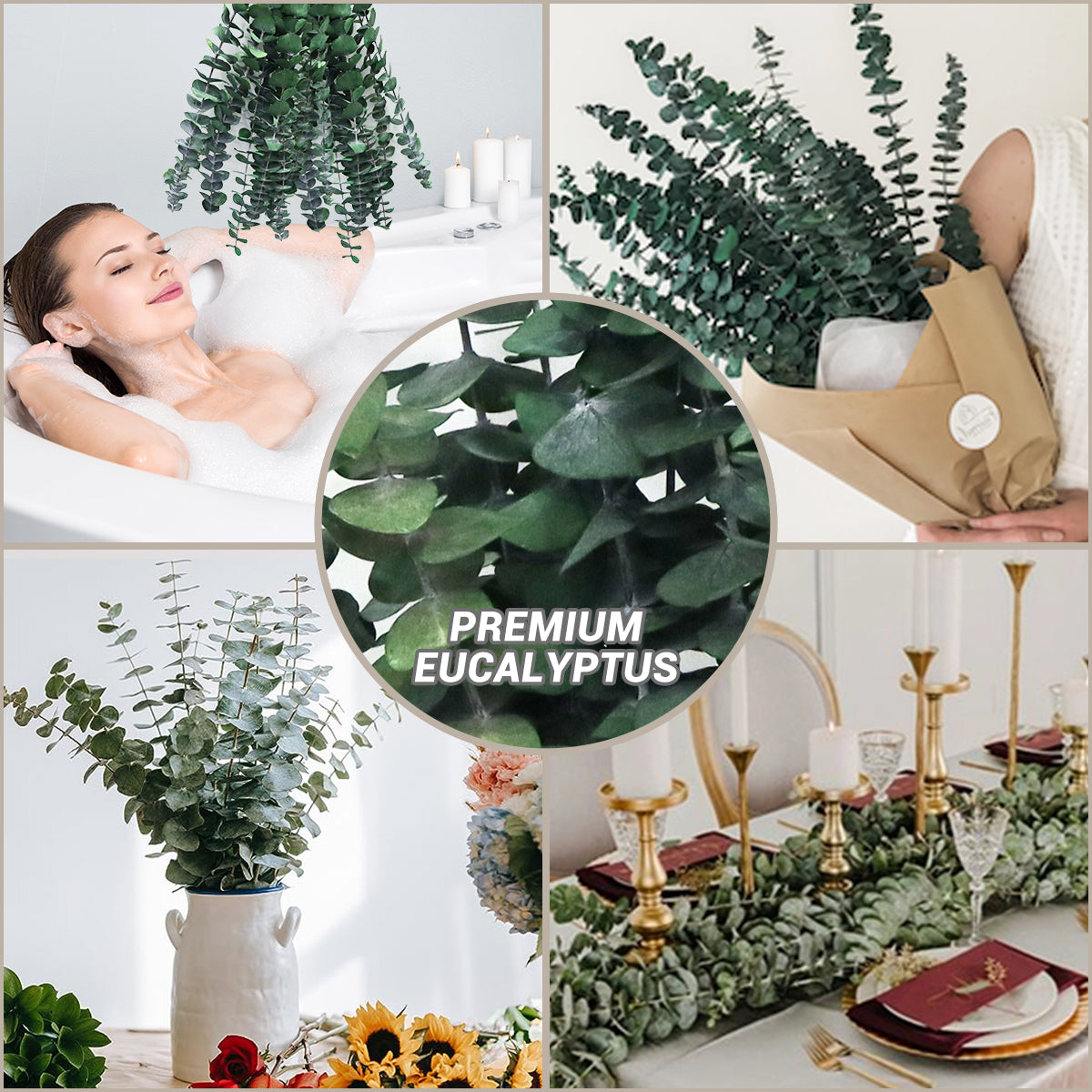 HERBIX Large 10 PCS Preserved  Eucalyptus Stems for Home Decor