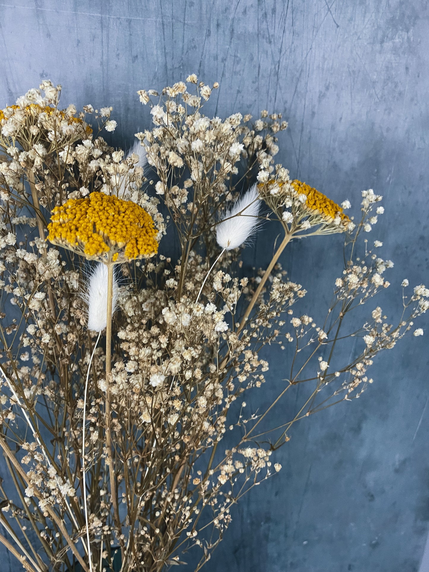 Harri Dried Flower Arrangement