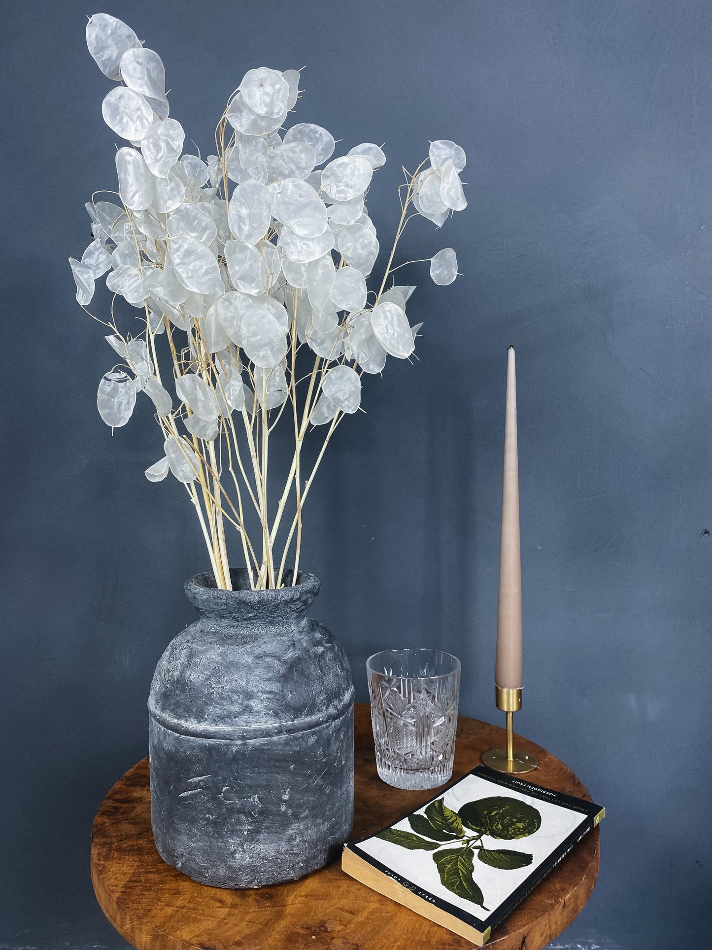 Dried Lunaria Honesty