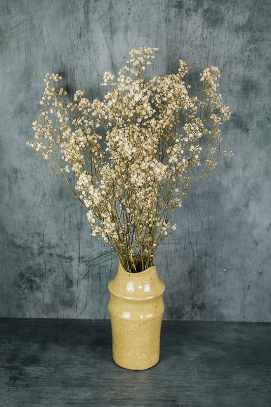 Preserved gypsophila bunch