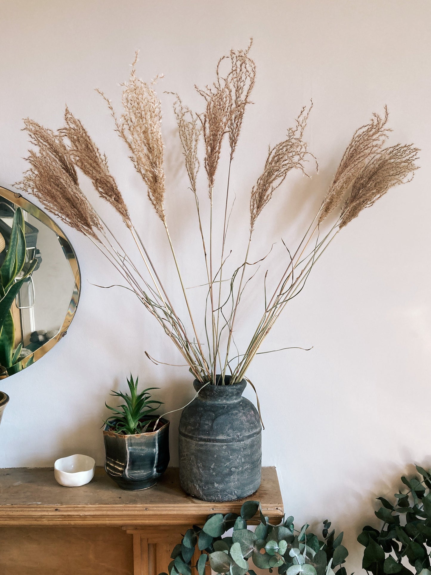 Fluffy Reed Grass - Natural