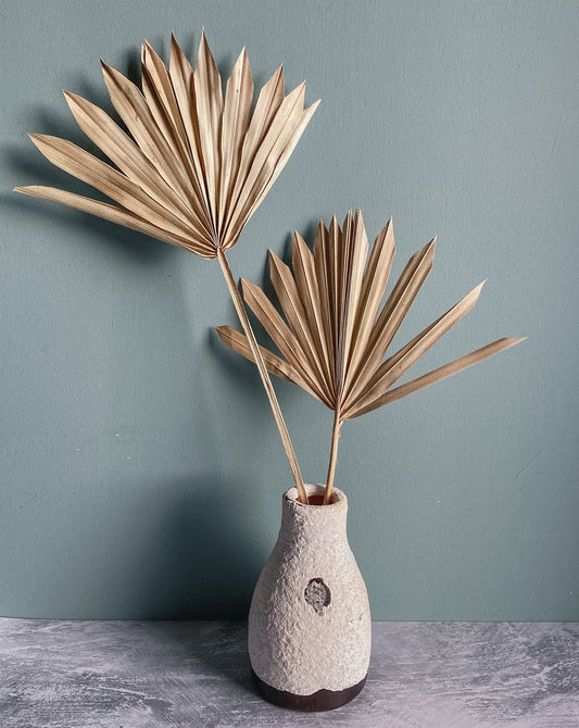 Dried Sun Palms