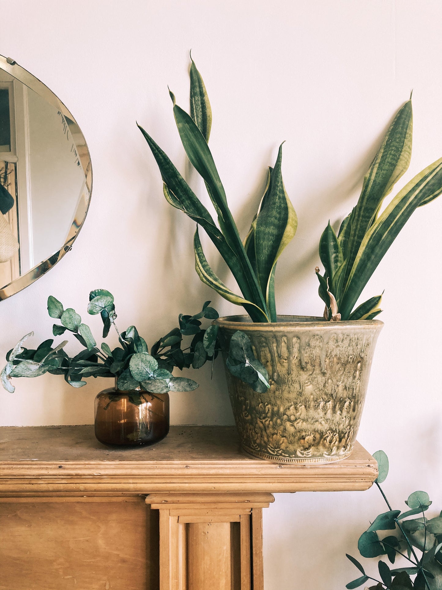 Preserved Eucalyptus Mini Bunch