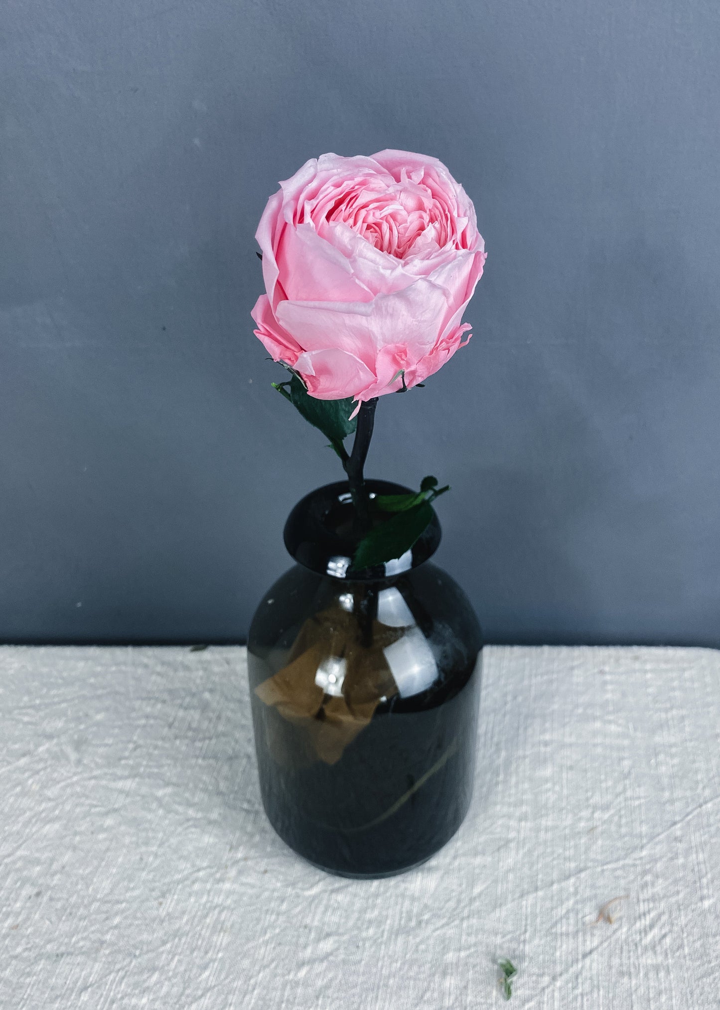 Preserved peony - pink