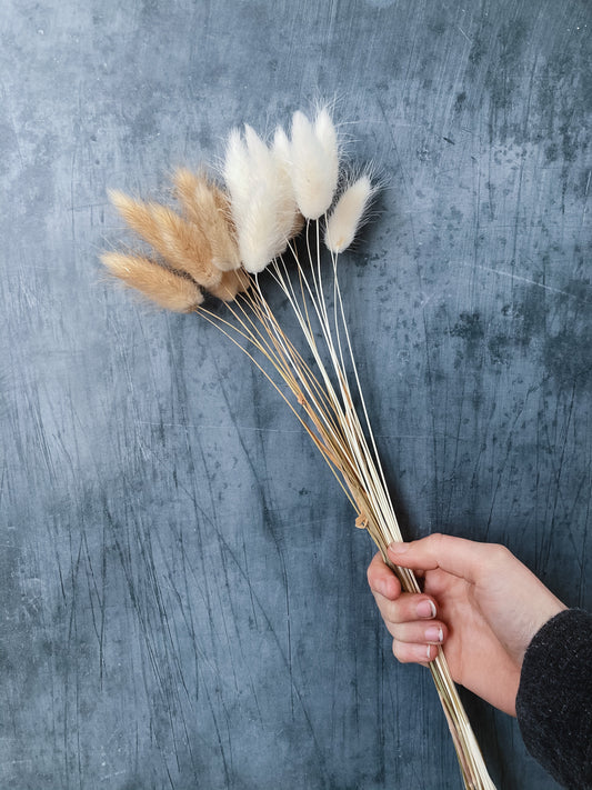 Bunny tails - mixed natural & white