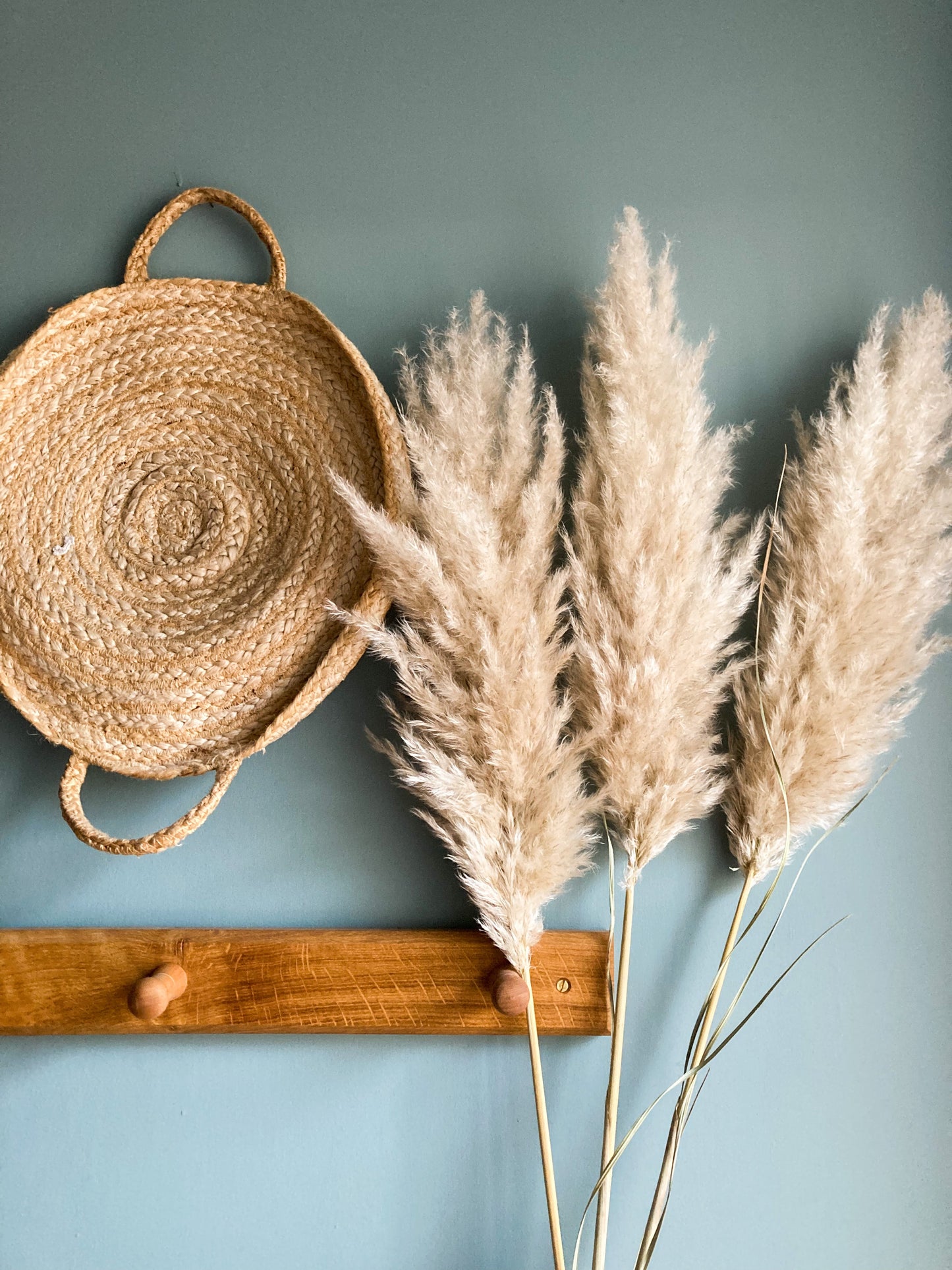 Fluffy Dried Pampas Grass - white